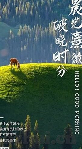 91麻豆视频免费观看-探索数字时代的娱乐新视界，91麻豆视频的多元体验
