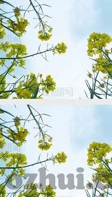 91视频麻豆传媒-揭开91视频下的真实面纱，内容慎用与法律边界