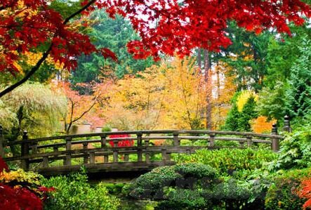 成人高考数学教学视频-成人高考，数学教学的在线新路径——成人高考数学教学视频的实用指南