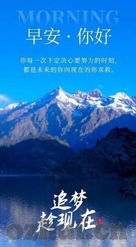 大象的视频大象的图片-探索自然界的巨人，大象的视觉盛宴